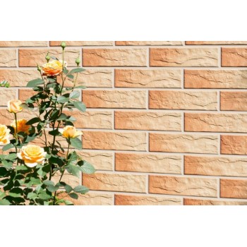 Клінкерна фасадна  плитка Cerrad  Facade gobi rustiko 245*65*6,5 мм