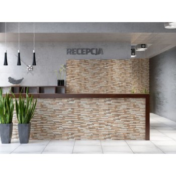 Клінкерна фасадна  плитка Cerrad Kallio Terra 450*150*9 мм