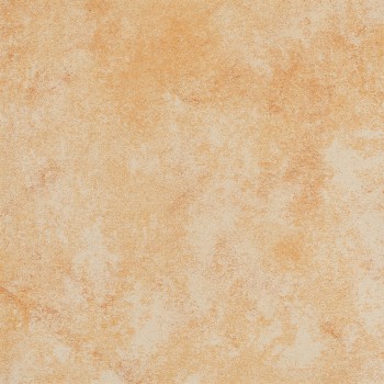 Клінкерна плитка  для підлоги  Euramic 1683  facello  294*294*8 мм (8030/Е541)