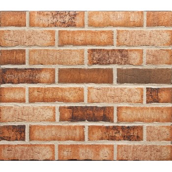 Клинкерная фасадная плитка Feldhaus Klinker R665 Sintra Sabioso Binaro 240*52*11 мм