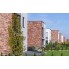  Клінкерна  фасадна плитка King Klinker  Brick street HF 05 240*71*10 мм 