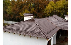 Ravebsberger brasilbraun