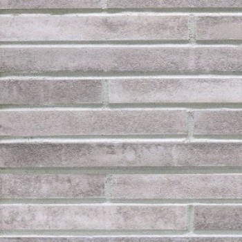 Клінкерна фасадна плитка Stroeher 4074  silber-grau 490*40*14 мм (452/7756)