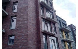 455 braun-blau