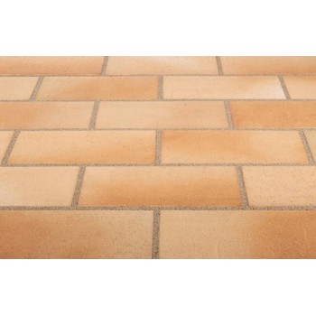 Клінкерна тротуарна плитка Stroeher  123  beige-bunt  240*115*18 мм (3118/123)