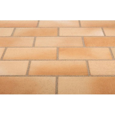 Клінкерна тротуарна плитка Stroeher  123  beige-bunt  240*115*18 мм (3118/123)
