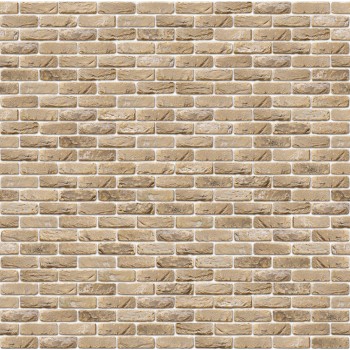 Фасадна плитка ручного формування  Vandersanden   Oud Blanckaert 101 215х65х20 мм