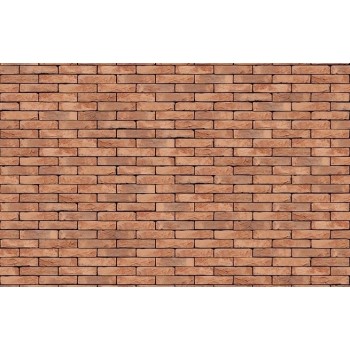Фасадна плитка ручного формування  Vandersanden  FB TERRA COTTA 210х65х20 мм (304)
